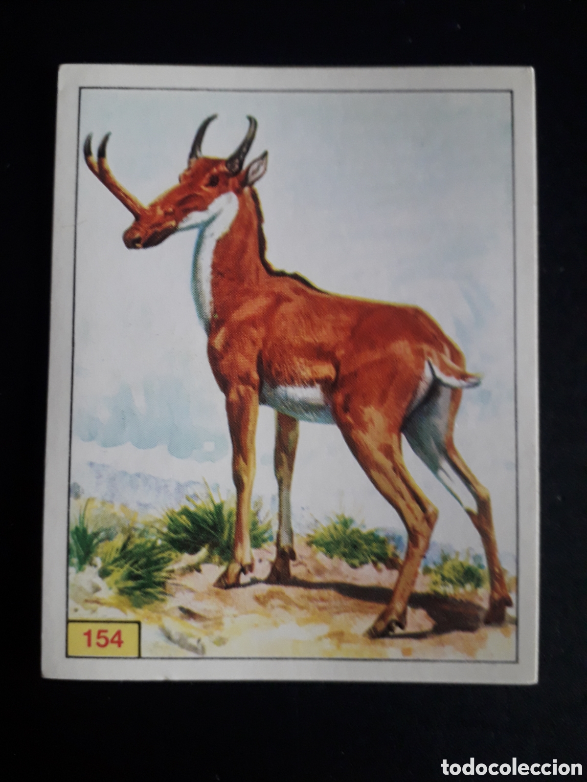 Coleccionismo cromos antiguos: DINOSAURS / DINOSAURIOS N&deg; 154 PANINI 1992 SIN PEGAR PEDIDO M&Iacute;NIMO 3&euro;