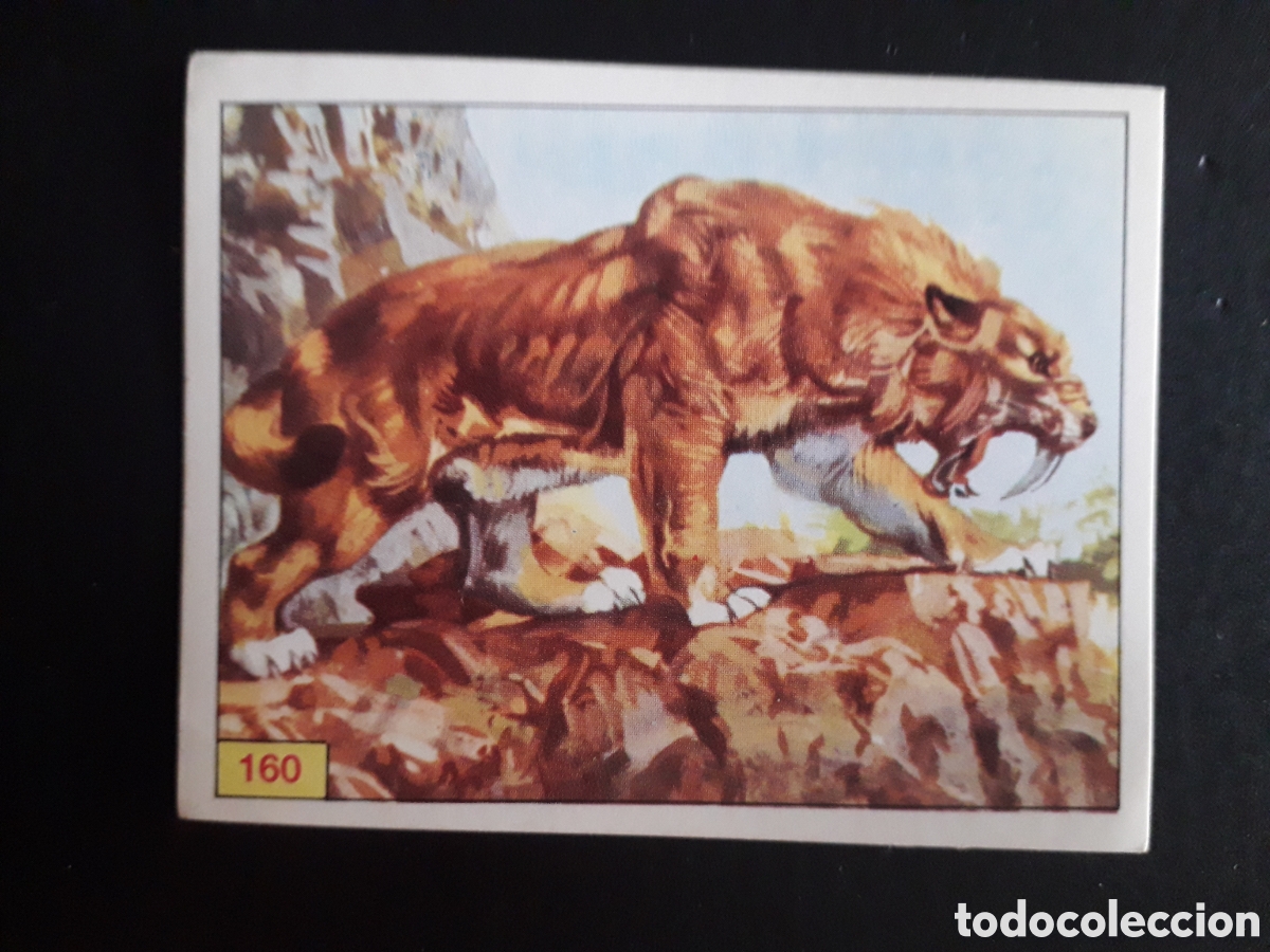 Coleccionismo cromos antiguos: DINOSAURS / DINOSAURIOS N&deg; 160 PANINI 1992 SIN PEGAR PEDIDO M&Iacute;NIMO 3&euro;