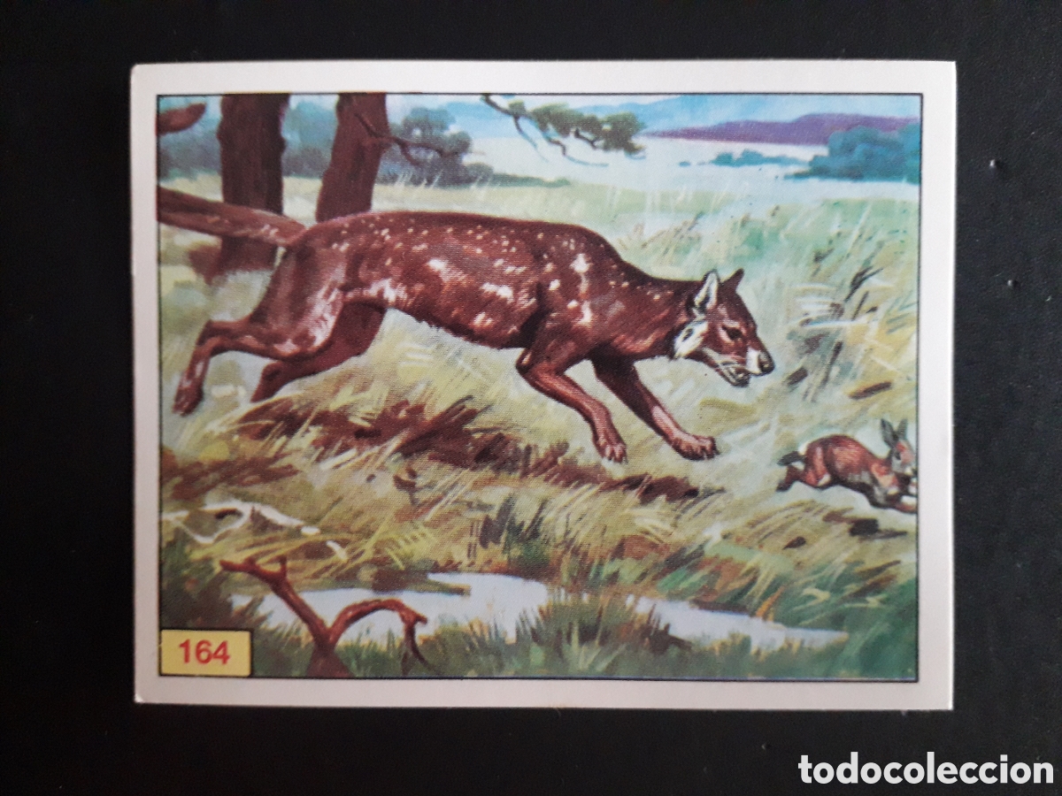 Coleccionismo cromos antiguos: DINOSAURS / DINOSAURIOS N&deg; 164 PANINI 1992 SIN PEGAR PEDIDO M&Iacute;NIMO 3&euro;