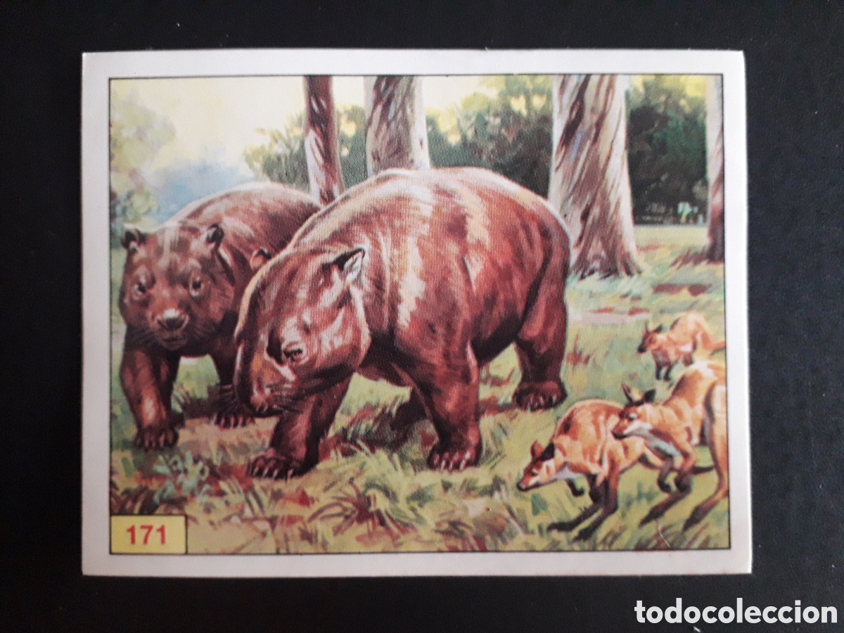 Coleccionismo cromos antiguos: DINOSAURS / DINOSAURIOS N&deg; 171 PANINI 1992 SIN PEGAR PEDIDO M&Iacute;NIMO 3&euro;