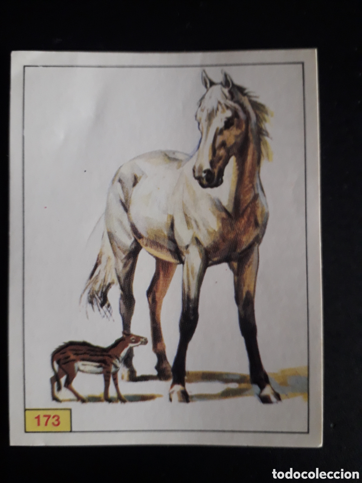 Coleccionismo cromos antiguos: DINOSAURS / DINOSAURIOS N&deg; 173 PANINI 1992 SIN PEGAR PEDIDO M&Iacute;NIMO 3&euro;