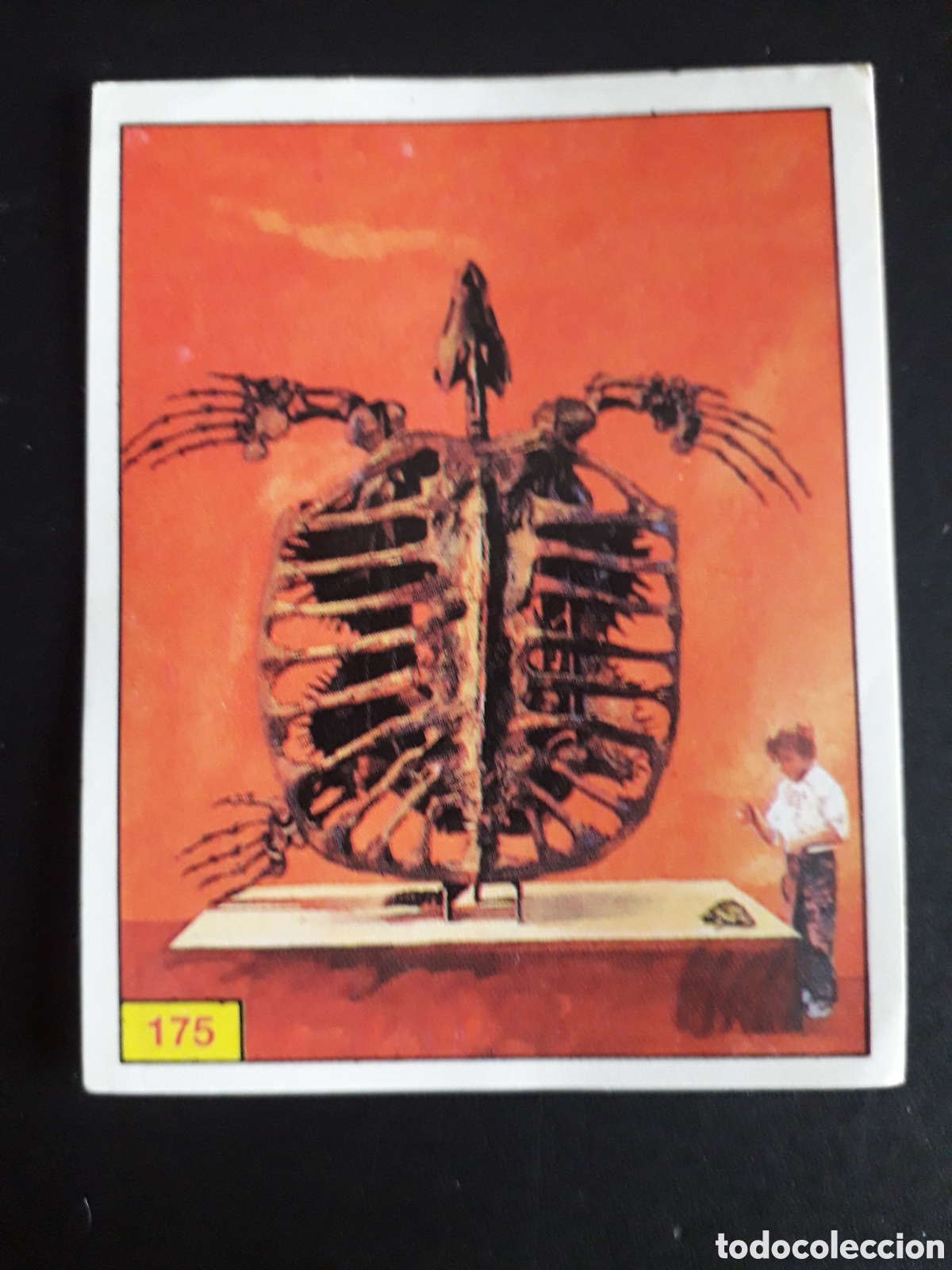 Coleccionismo cromos antiguos: DINOSAURS / DINOSAURIOS N&deg; 175 PANINI 1992 SIN PEGAR PEDIDO M&Iacute;NIMO 3&euro;