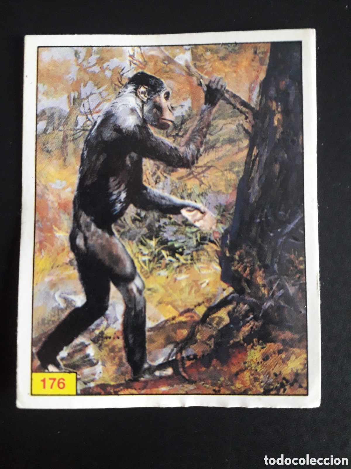 Coleccionismo cromos antiguos: DINOSAURS / DINOSAURIOS N&deg; 176 PANINI 1992 SIN PEGAR PEDIDO M&Iacute;NIMO 3&euro;