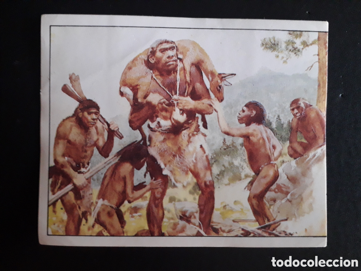 Coleccionismo cromos antiguos: DINOSAURS / DINOSAURIOS N&deg; 179 PANINI 1992 SIN PEGAR PEDIDO M&Iacute;NIMO 3&euro;