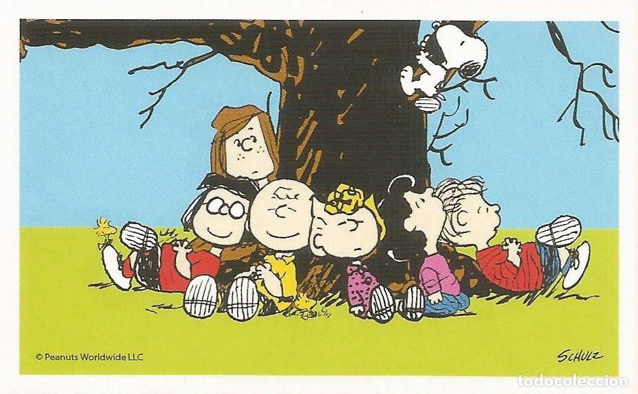 Coleccionismo cromos antiguos: Cromo n.&ordm; 123 de la colecci&oacute;n 'Peanuts. Snoopy e i Suoi Amici' - COOP Unicoop Tirreno (Italia, 2016)