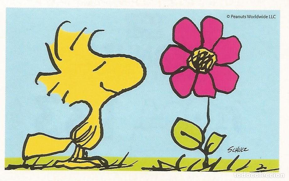 Coleccionismo cromos antiguos: Cromo n.&ordm; 133 de la colecci&oacute;n 'Peanuts. Snoopy e i Suoi Amici' - COOP Unicoop Tirreno (Italia, 2016)