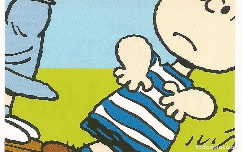 Coleccionismo cromos antiguos: Cromo n.&ordm; 143 de la colecci&oacute;n 'Peanuts. Snoopy e i Suoi Amici' - COOP Unicoop Tirreno (Italia, 2016)
