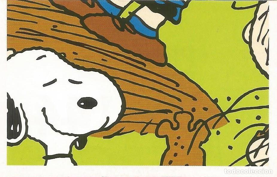 Coleccionismo cromos antiguos: Cromo n.&ordm; 144 de la colecci&oacute;n 'Peanuts. Snoopy e i Suoi Amici' - COOP Unicoop Tirreno (Italia, 2016)