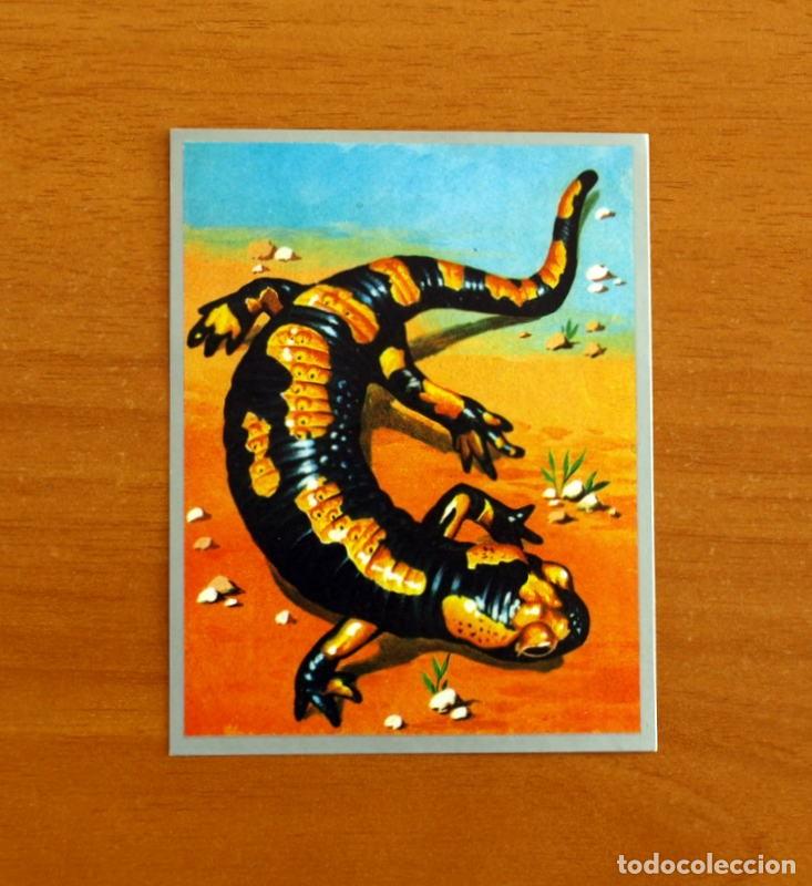 Coleccionismo cromos antiguos: Zoolog&iacute;a y Bot&aacute;nica - Cromo N&ordm; 29 - Editorial Maga A&ntilde;o 1969 - Nunca pegado
