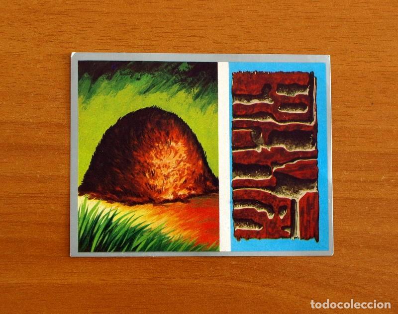 Coleccionismo cromos antiguos: Zoolog&iacute;a y Bot&aacute;nica - Cromo N&ordm; 49 - Editorial Maga A&ntilde;o 1969 - Nunca pegado