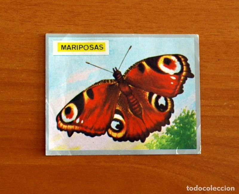 Coleccionismo cromos antiguos: Zoolog&iacute;a y Bot&aacute;nica - Cromo N&ordm; 73 - Editorial Maga A&ntilde;o 1969 - Nunca pegado