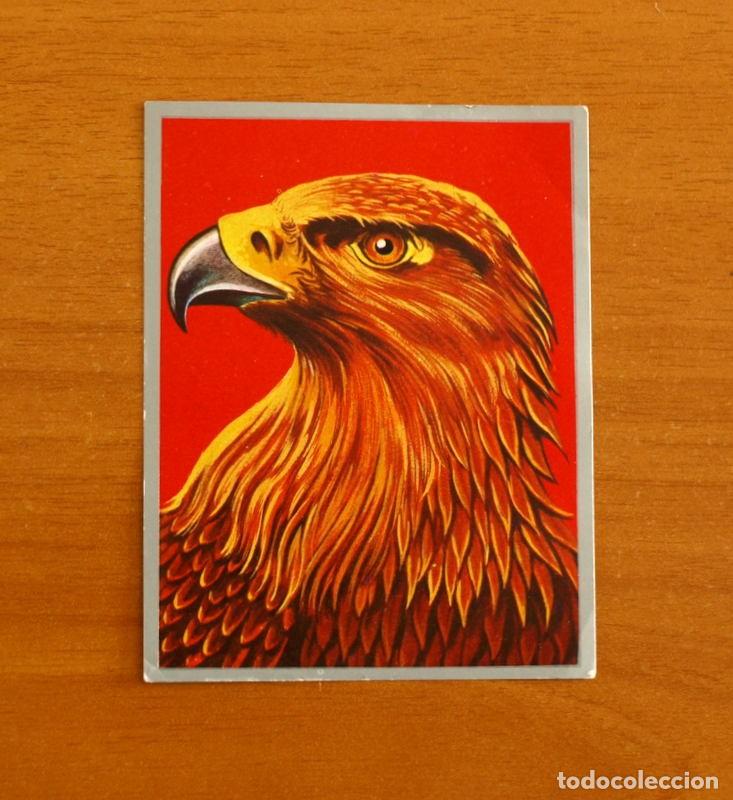 Coleccionismo cromos antiguos: Zoolog&iacute;a y Bot&aacute;nica - Cromo N&ordm; 124 - Editorial Maga A&ntilde;o 1969 - Nunca Pegado -