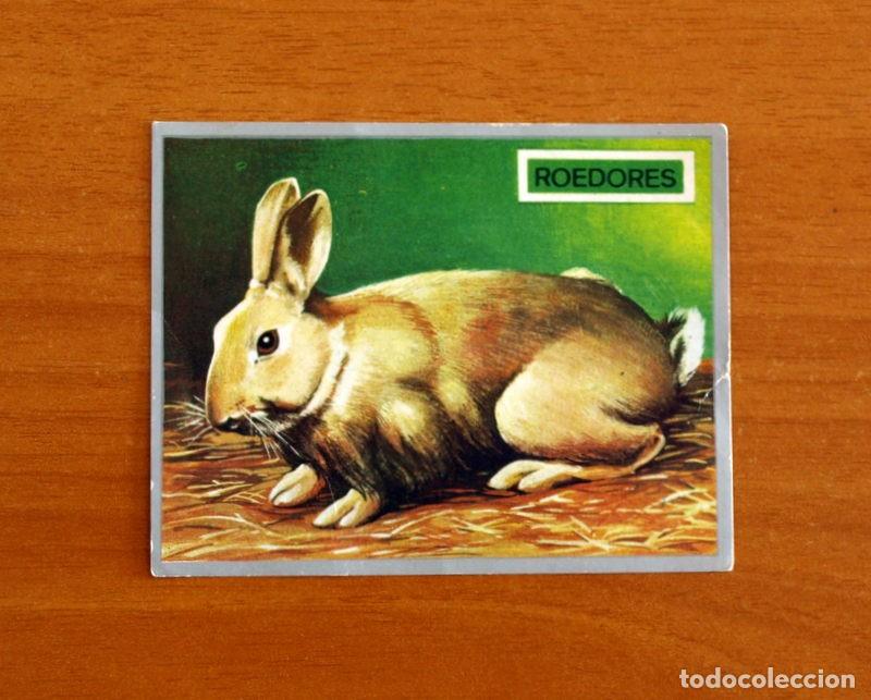 Coleccionismo cromos antiguos: Zoolog&iacute;a y Bot&aacute;nica - Cromo N&ordm; 143 - Editorial Maga A&ntilde;o 1969 - Nunca Pegado -