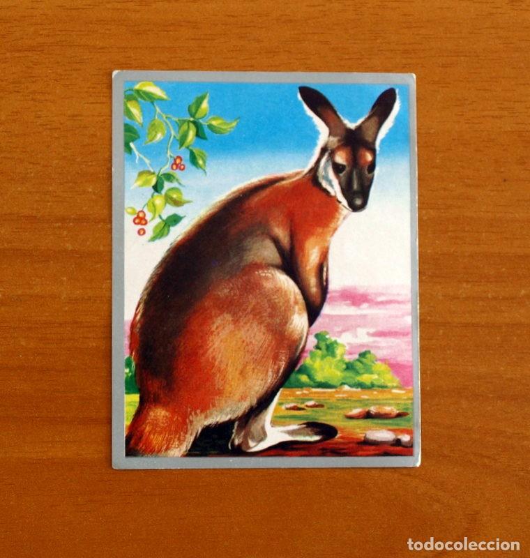 Coleccionismo cromos antiguos: Zoolog&iacute;a y Bot&aacute;nica - Cromo N&ordm; 160 - Editorial Maga A&ntilde;o 1969 - Nunca Pegado -