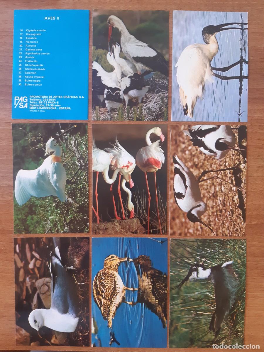 Coleccionismo cromos antiguos: Lote Serie Completa fichas / Aves II - PAGSA Barcelona A&ntilde;os 80