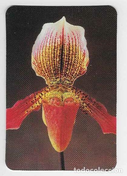 Collectable Antique Stickers: CALENDARIO DE BOLSILLO DE COLOMBIA A&Ntilde;O 2002 ORQUIDEA CON BEBES - SIN PUBLICIDAD - VER FOTO REVERSO