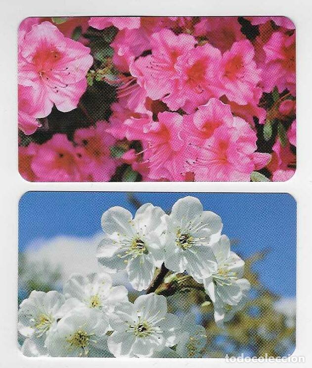 Sammeln alte Sammelbilder: 2 CALENDARIOS BOLSILLO PUBLICITARIOS A&Ntilde;O 2018 FLORA - FLORES - FARMACIA DE MUNGIA -VER FOTO REVERSOS