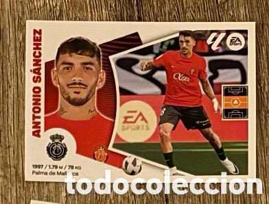 Coleccionismo cromos antiguos: ANTONIO SANCHEZ MALLORCA Liga Este 2024-25 Panini sticker