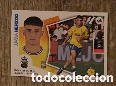 Coleccionismo cromos antiguos: HERZOG UD LAS PALMAS Liga Este 2024-25 Panini sticker