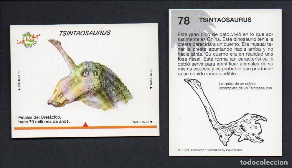 Coleccionismo cromos antiguos: CROMO N&ordm; 78 DE LA COLECCI&Oacute;N DINOCARDZ 1993. NUEVO.