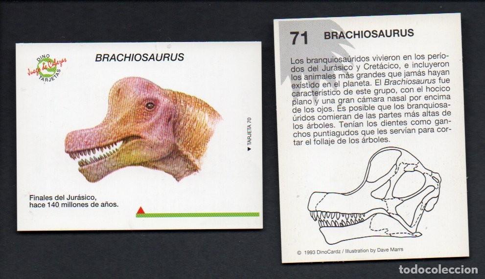 Coleccionismo cromos antiguos: CROMO N&ordm; 71 DE LA COLECCI&Oacute;N DINOCARDZ 1993. NUEVO.