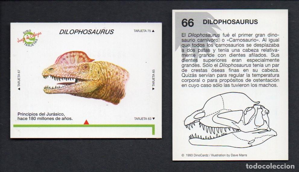 Coleccionismo cromos antiguos: CROMO N&ordm; 66 DE LA COLECCI&Oacute;N DINOCARDZ 1993. NUEVO.