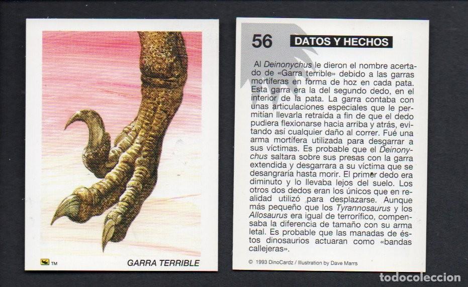 Coleccionismo cromos antiguos: CROMO N&ordm; 56 DE LA COLECCI&Oacute;N DINOCARDZ 1993. NUEVO.
