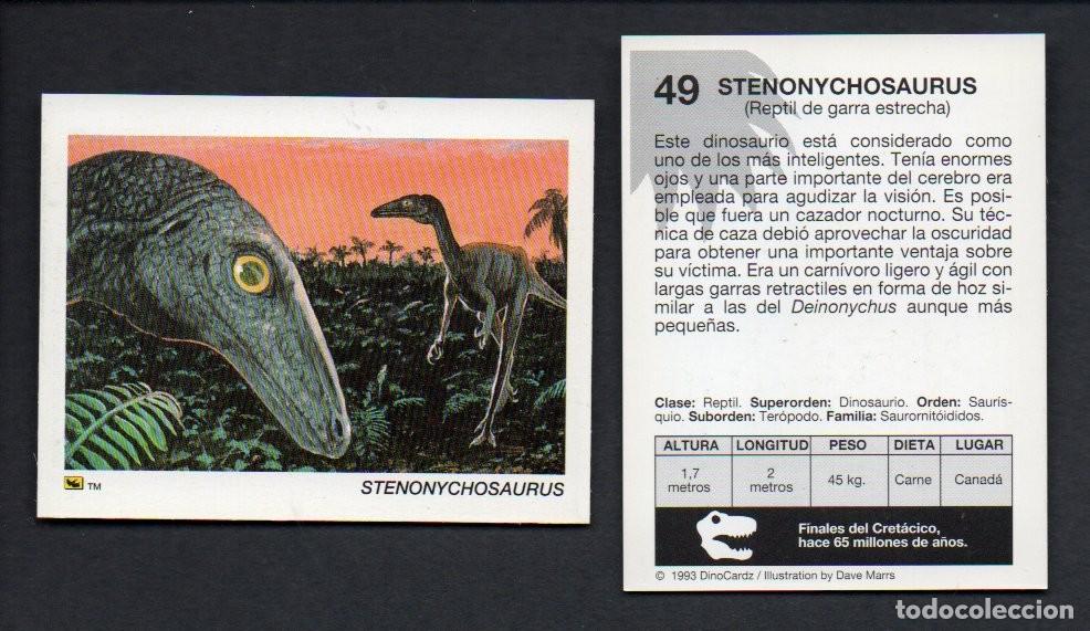 Coleccionismo cromos antiguos: CROMO N&ordm; 49 DE LA COLECCI&Oacute;N DINOCARDZ 1993. NUEVO.
