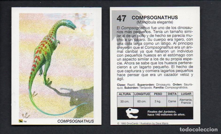 Coleccionismo cromos antiguos: CROMO N&ordm; 47 DE LA COLECCI&Oacute;N DINOCARDZ 1993. NUEVO.