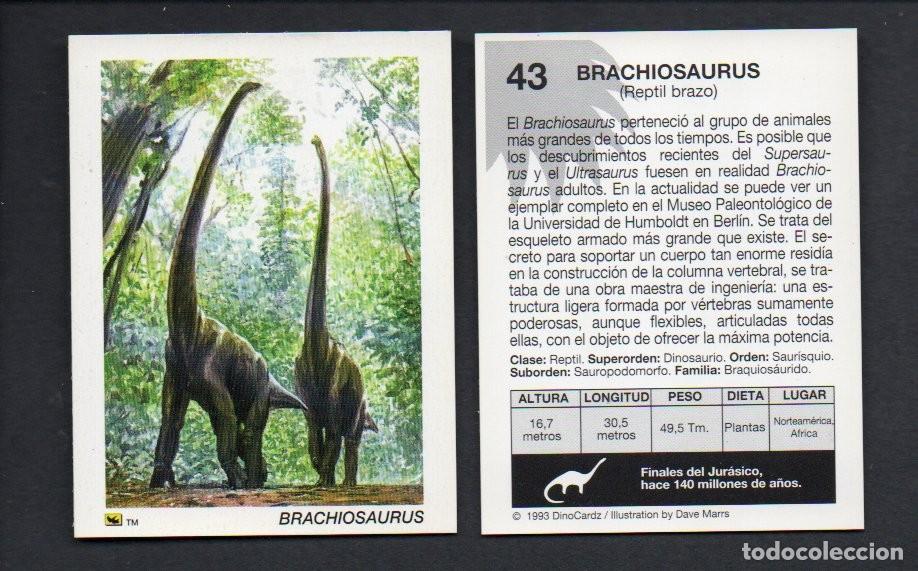Coleccionismo cromos antiguos: CROMO N&ordm; 43 DE LA COLECCI&Oacute;N DINOCARDZ 1993. NUEVO.