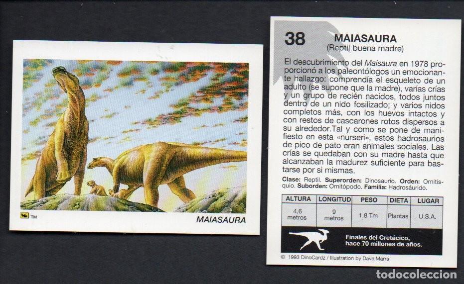 Coleccionismo cromos antiguos: CROMO N&ordm; 38 DE LA COLECCI&Oacute;N DINOCARDZ 1993. NUEVO.