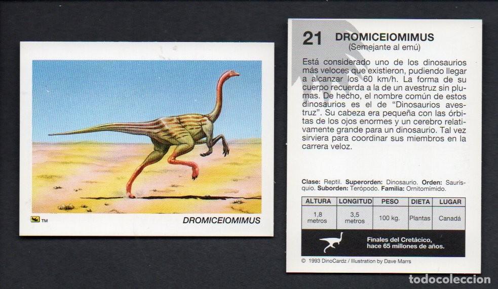 Coleccionismo cromos antiguos: CROMO N&ordm; 21 DE LA COLECCI&Oacute;N DINOCARDZ 1993. NUEVO.