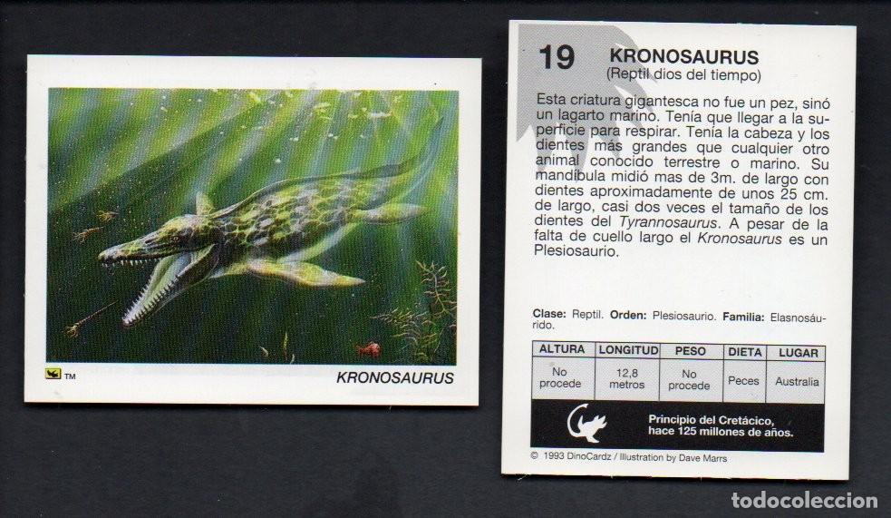 Coleccionismo cromos antiguos: CROMO N&ordm; 19 DE LA COLECCI&Oacute;N DINOCARDZ 1993. NUEVO.
