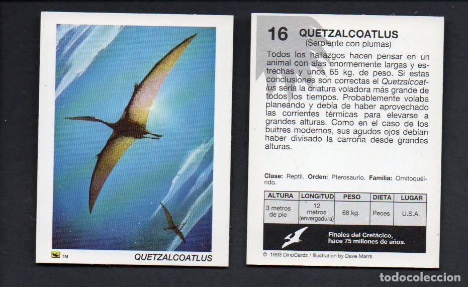 Coleccionismo cromos antiguos: CROMO N&ordm; 16 DE LA COLECCI&Oacute;N DINOCARDZ 1993. NUEVO.