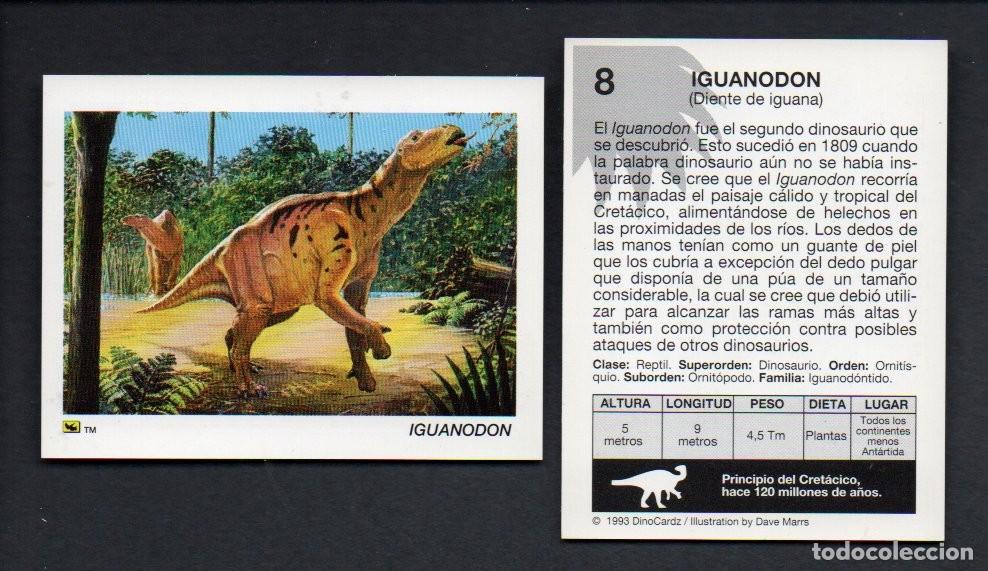 Coleccionismo cromos antiguos: CROMO N&ordm; 8 DE LA COLECCI&Oacute;N DINOCARDZ 1993. NUEVO.