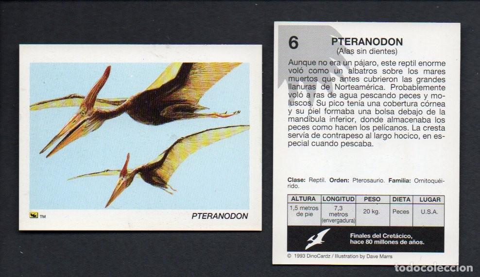 Coleccionismo cromos antiguos: CROMO N&ordm; 6 DE LA COLECCI&Oacute;N DINOCARDZ 1993. NUEVO.