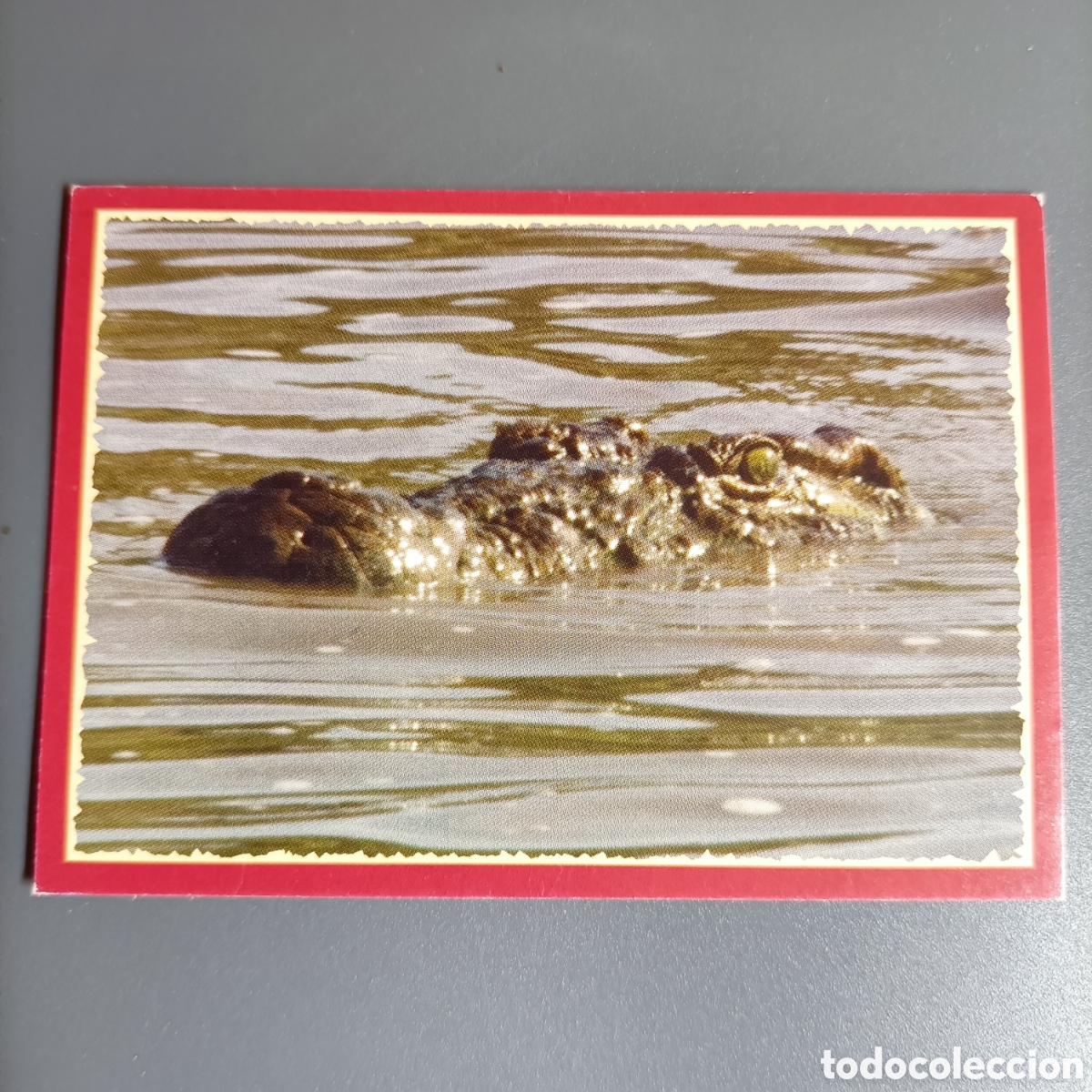 Coleccionismo cromos antiguos: Panini 2011. DisneyNature African Cats - Im Reich der Raubkatzen - №153