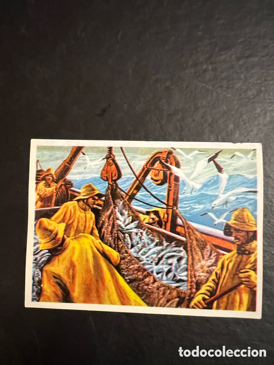 Coleccionismo cromos antiguos: EL MAR FUENTE DE VIDA. N&ordm; 147 EDITORIAL RUIZ ROMERO 1973