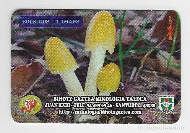Coleccionismo cromos antiguos: CALENDARIO DE BOLSILLO A&Ntilde;O 2024 SETAS - PUBLICIDAD SANTURTZI - VER FOTO REVERSO