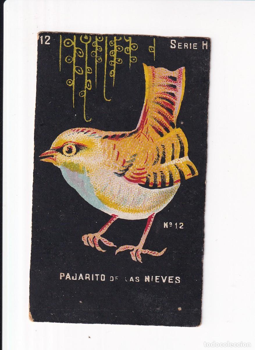 Coleccionismo cromos antiguos: HISTORIA NATURAL : SERIE H, NUMERO : 12, PAJARITO DE LAS NIEVES : CHOCOLATES GUILLEM