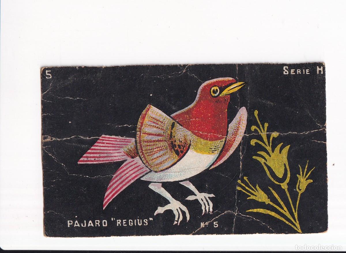 Coleccionismo cromos antiguos: HISTORIA NATURAL : SERIE H, NUMERO : 5, PAJARO REGIUS : CHOCOLATES GUILLEM