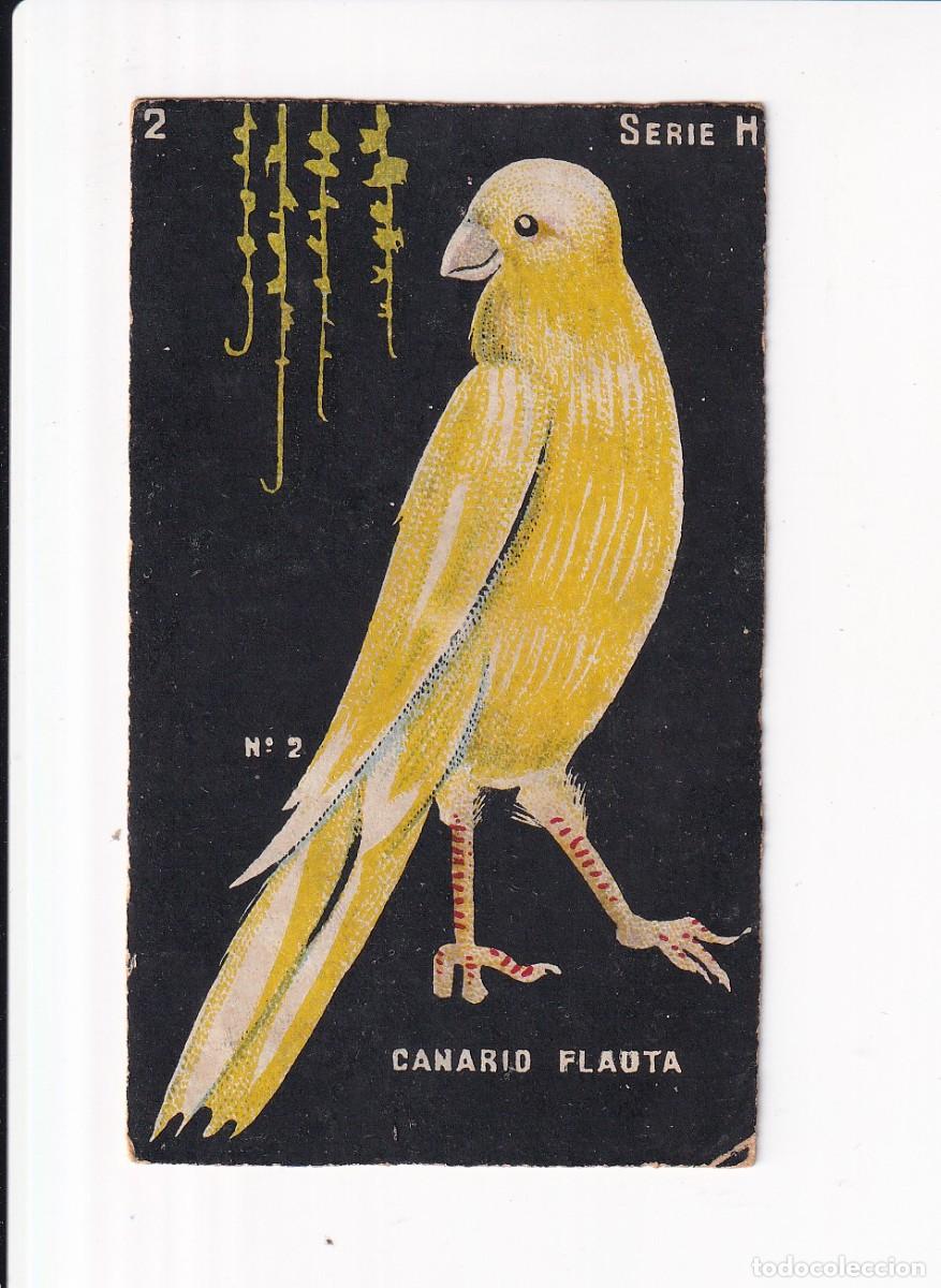 Coleccionismo cromos antiguos: HISTORIA NATURAL : SERIE H, NUMERO : 2, CANARIO FLAUTA : CHOCOLATES GUILLEM