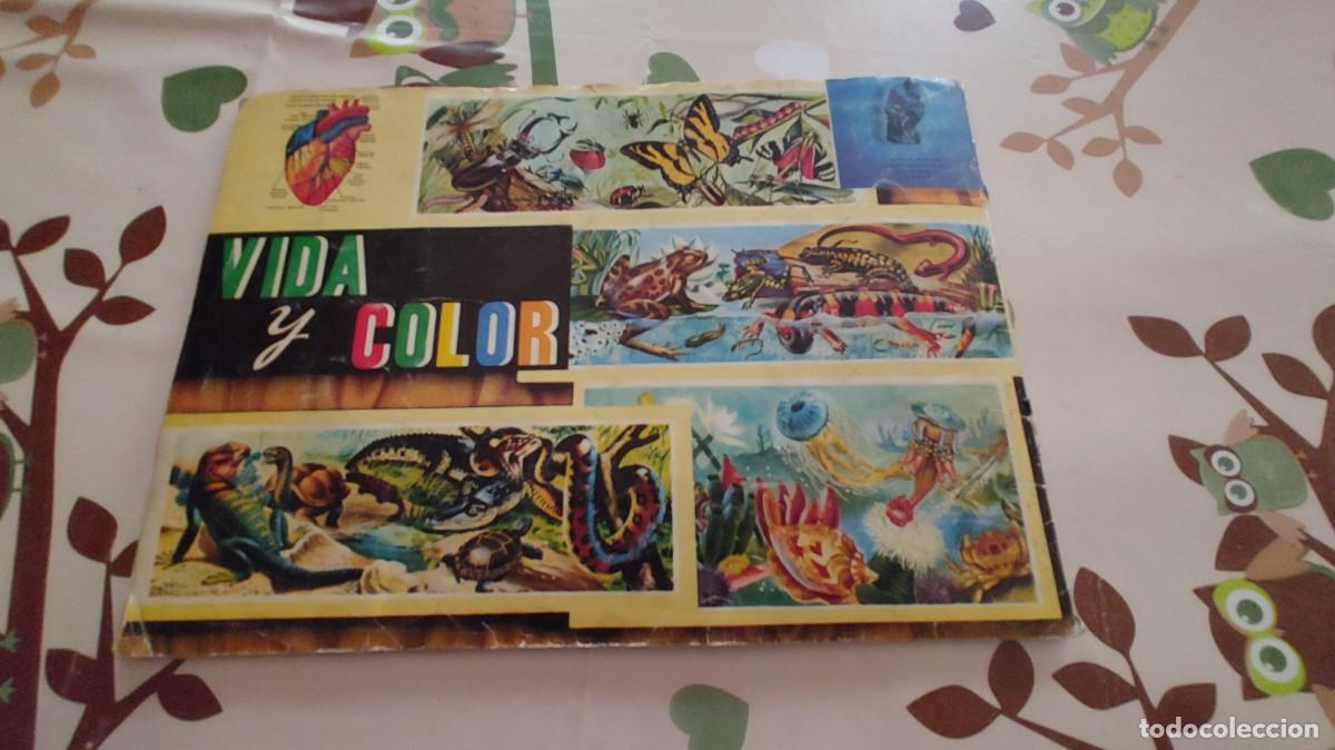 Coleccionismo cromos antiguos: VIDA Y COLOR-ALBUM -COMPLETO