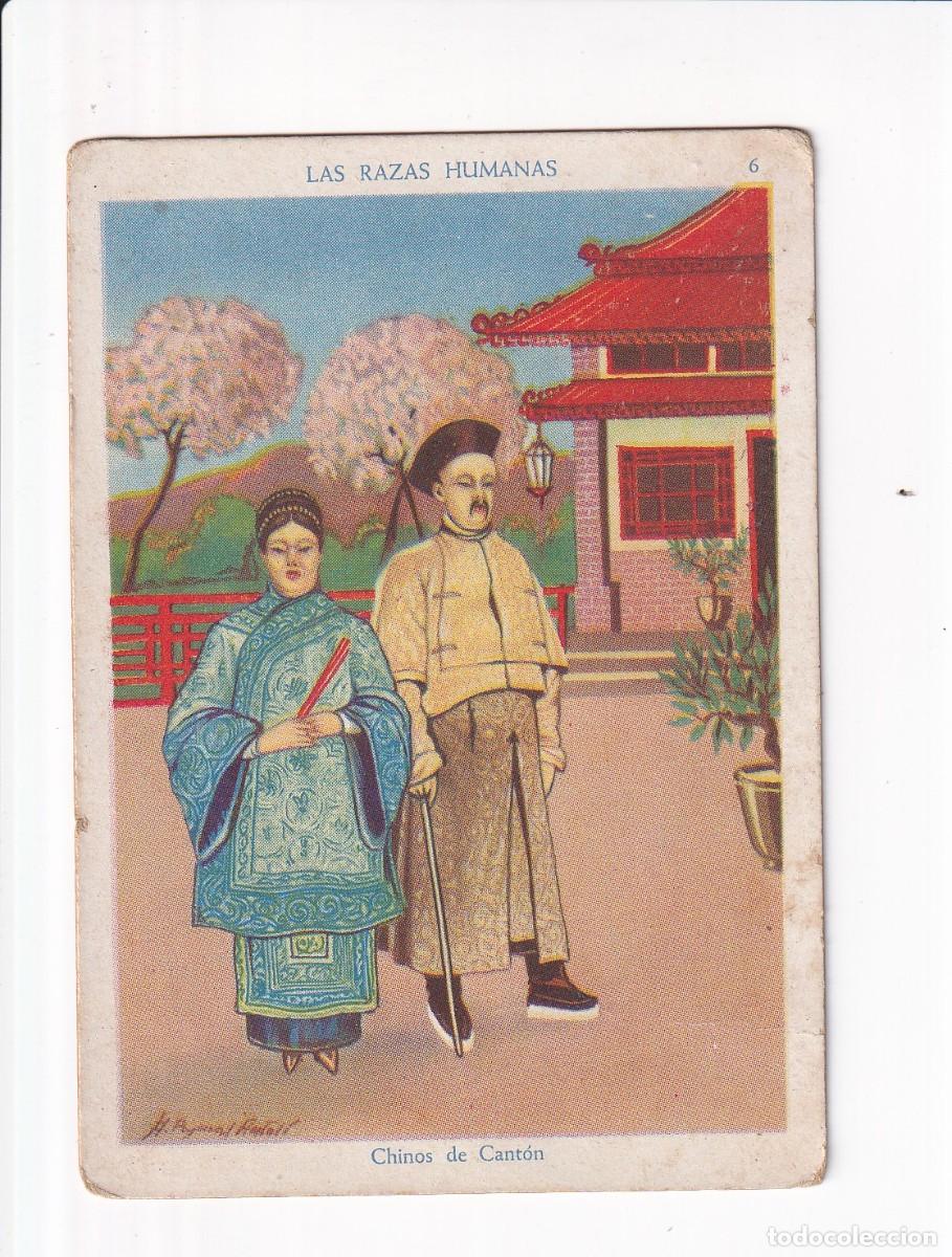 Coleccionismo cromos antiguos: LAS RAZAS HUMANAS : NUMERO 6 .- CHOCOLATES SELECTOS EVARISTO JUNCOSA PA&Ntilde;ILLA