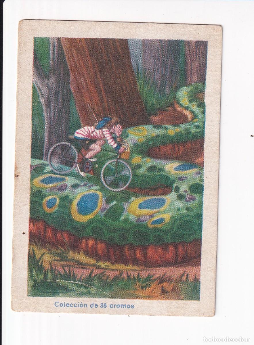 Coleccionismo cromos antiguos: LAS HAZANAS DE PEDALITO : NUMERO 12 .- CHOCOLATES AMATLLER