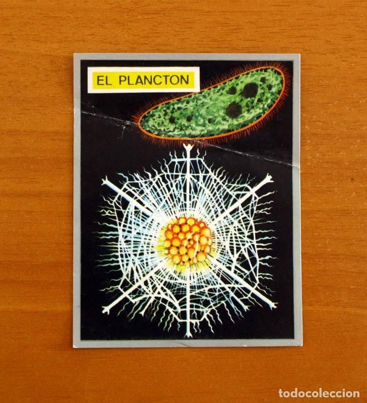 Coleccionismo cromos antiguos: Zoolog&iacute;a y Bot&aacute;nica - Cromo N&ordm; 108 El Plancton - Editorial Maga A&ntilde;o 1969 - Nunca Pegado