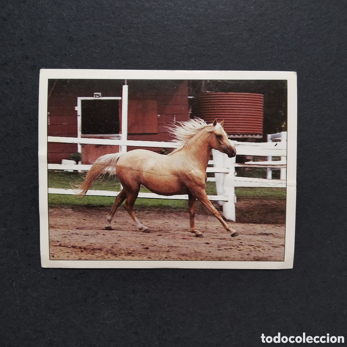 Coleccionismo cromos antiguos: CROMO - N&ordm; 074 - CABALLOS, COMPA&Ntilde;EROS DEL HOMBRE DESDE HACE SIGLOS - PANINI - A&Ntilde;O 1995