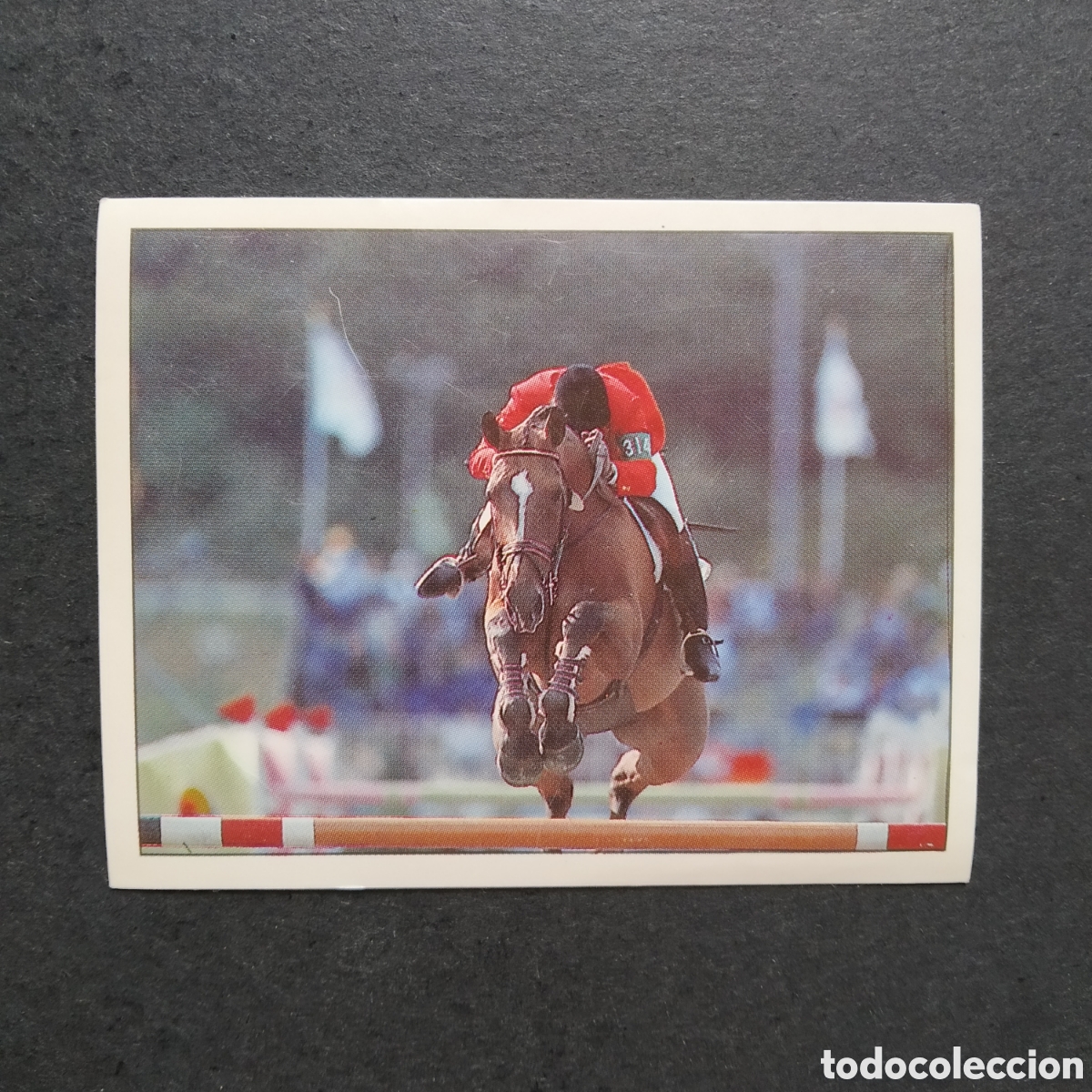 Coleccionismo cromos antiguos: CROMO - N&ordm; 123 - CABALLOS, COMPA&Ntilde;EROS DEL HOMBRE DESDE HACE SIGLOS - PANINI - A&Ntilde;O 1995