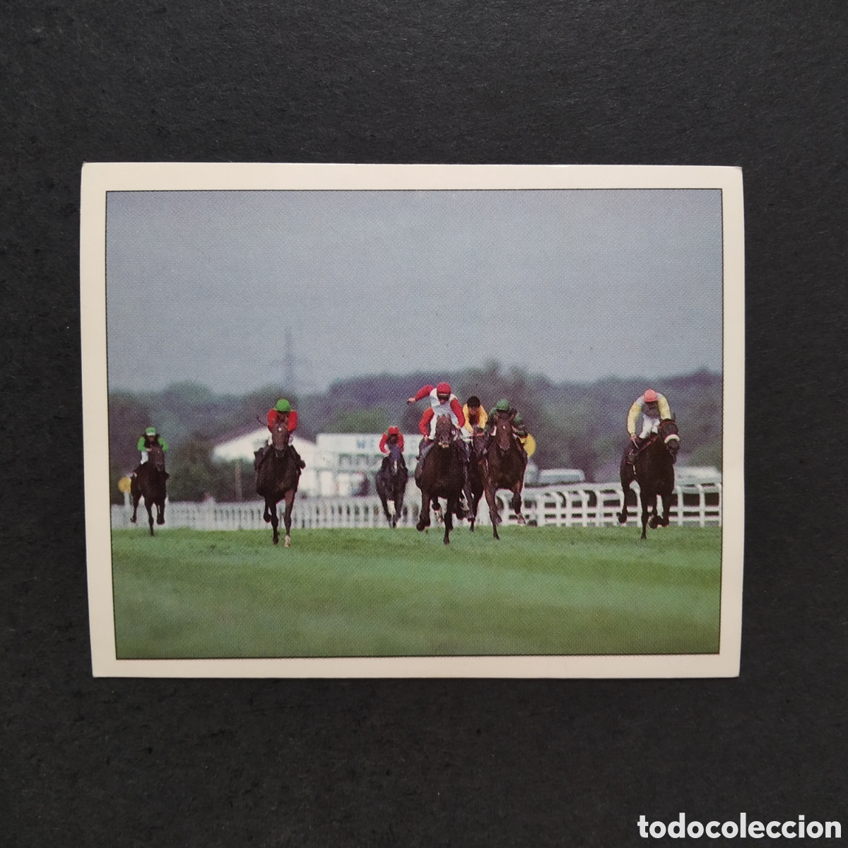 Coleccionismo cromos antiguos: CROMO - N&ordm; 139 - CABALLOS, COMPA&Ntilde;EROS DEL HOMBRE DESDE HACE SIGLOS - PANINI - A&Ntilde;O 1995