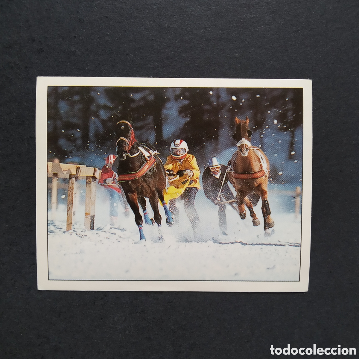 Coleccionismo cromos antiguos: CROMO - N&ordm; 149 - CABALLOS, COMPA&Ntilde;EROS DEL HOMBRE DESDE HACE SIGLOS - PANINI - A&Ntilde;O 1995